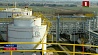Польша остановила транзит нефти по нефтепроводу "Дружба"