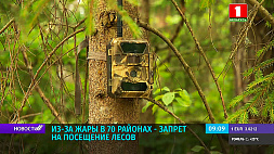 В Беларуси из-за жары в 70 районах запрещено посещение лесов