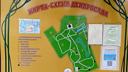 Дендросад нацпарка "Нарочанский" готовят к началу нового экскурсионного сезона