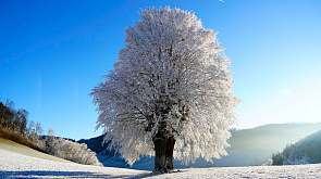 Сильный ветер и снегопад ожидаются в Беларуси 23 января