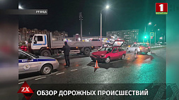 Две фуры столкнулись и съехали в кювет, из-за выбежавшего лося погиб пассажир,  Opel и  MAN не поделили дорогу - обзор дорожных происшествий