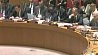 В Совете Безопасности ООН представили новый проект резолюции по расследованию химической атаки в Сирии
