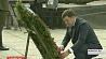 Делегация Свердловской области возложила венок к монументу Победы