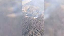 Основные версии лесных пожаров в в Брестской области - поджоги    