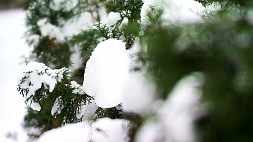 До -17 °С, снег и гололедица - белорусов ожидает морозная неделя 