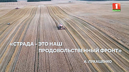 Лукашенко: Страда - это наш продовольственный фронт