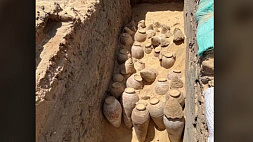 В Египте археологи обнаружили в гробнице царицы сотни кувшинов с вином выдержкой около 5 тыс. лет