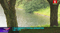 В выходные в Минске дождливо и до +16°С