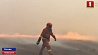 В регионах России бушуют лесные пожары