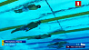 Илья Шиманович - пятый на чемпионате мира по водным видам спорта на дистанции 50 метров брассом