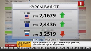 Белорусы четвертый месяц увеличивают рублевые вклады, в январе рекордный приток