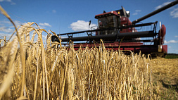 Лукашенко поставил задачу произвести в этом году 9 млн т зерна