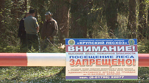 Где в  Беларуси введены первые ограничения на посещение лесов
