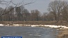 Уровень воды в некоторых реках Беларуси приблизился к опасно высоким значениям 