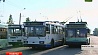 Маршрутная сеть столичных троллейбусов увеличится  на тридцать километров