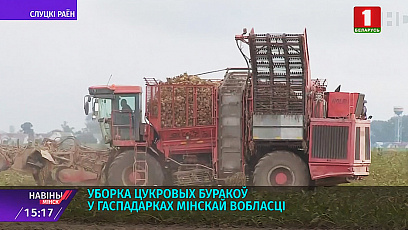 Уборка сахарной свеклы в хозяйствах Минской области 