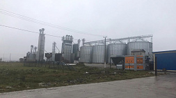 Лавочка в райпо закрыта: витебские милиционеры раскрыли масштабную схему по легализации краденого зерна