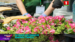 Лучшего озеленителя выбрали в Минске