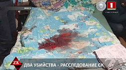 Соседские войны и убийственная ревность: СК разбираются в обстоятельствах убийств в Минске