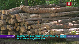 Сколько кубометров древесины хранится на складах в Беларуси?