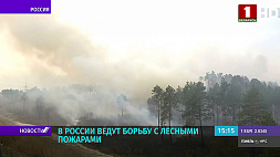 В России ведут борьбу с лесными пожарами