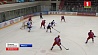 "Чижовка-Арена" принимает планетарный форум любителей хоккея на призы Президента Беларуси