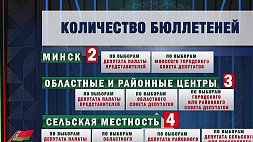 В крупных городах и районных центрах Беларуси избиратели получат разное количество бюллетеней, объясняем почему