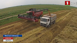 Специалисты Научно-практического центра НАН Беларуси по земледелию разработали новую концепцию ведения растениеводства