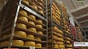 Слуцкий сыр "Пармезан-Gold" признан лучшим в стране 