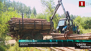 В Беларуси на складах около миллиона кубометров древесины