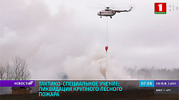 Тактико-специальные учения по ликвидации лесного пожара провели в Городокском районе