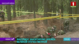 Массовое захоронение времен Великой Отечественной обнаружено в пригороде Минска