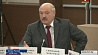 Президент Беларуси предложил совершенствовать деятельность Межпарламентской ассамблеи СНГ 
