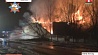 Жители улицы Лынькова в 4 утра проснулись от гула пожарных сирен 