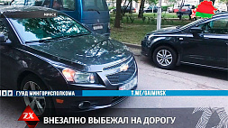 В Минске 6-летний мальчик попал под колеса автомобиля Chevrolet