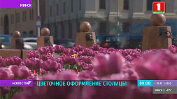 Специалисты Минскзеленстроя приступили к летнему цветочному оформлению столицы