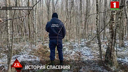 Эксперт-криминалист спас жизнь женщины, которая заблудилась в лесу и оказалась в болоте 