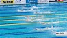 Белорусские пловцы не пробились в полуфинал на дистанции 100 метров 