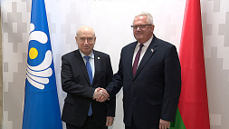 СНГ поддерживает решение Беларуси не приглашать на выборы для наблюдения миссию ОБСЕ 