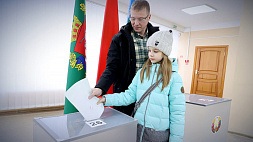 Единый день голосования в Беларуси прошел согласно всем демократическим принципам - международные наблюдатели и экспертное сообщество