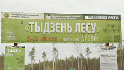 В Витебской области республиканский субботник совпал с заключительным днем "Недели леса"