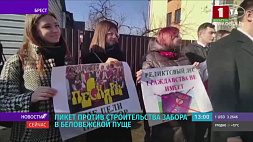 Возле консульства Республики Польша в Бресте состоялся митинг против строительства забора в Беловежской пуще 