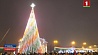 В Гомеле  первой в стране зажглась главная новогодняя елка