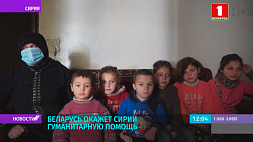 Беларусь окажет гуманитарную помощь Сирии