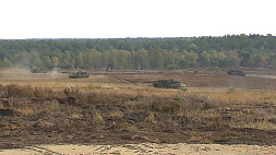 Литва готовится принять немецкую бригаду: переброска солдат начнется в 2025 году