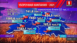 Шесть миллионов тонн зерна и третья область-миллионер - белорусские аграрии завершают массовую уборку хлеба