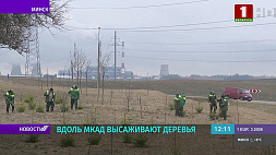 Озеленение Минска - внимание к эстетике и экологии