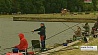 Городское соревнование по рыбной ловле сегодня с ночи проходило на водохранилище Дрозды