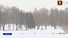 20-градусные морозы ожидают белорусов в ночь на среду