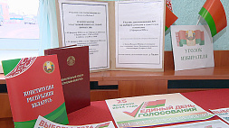 В Беларуси создано 110 избирательных округов - на каждый приходится почти 62 тыс. избирателей